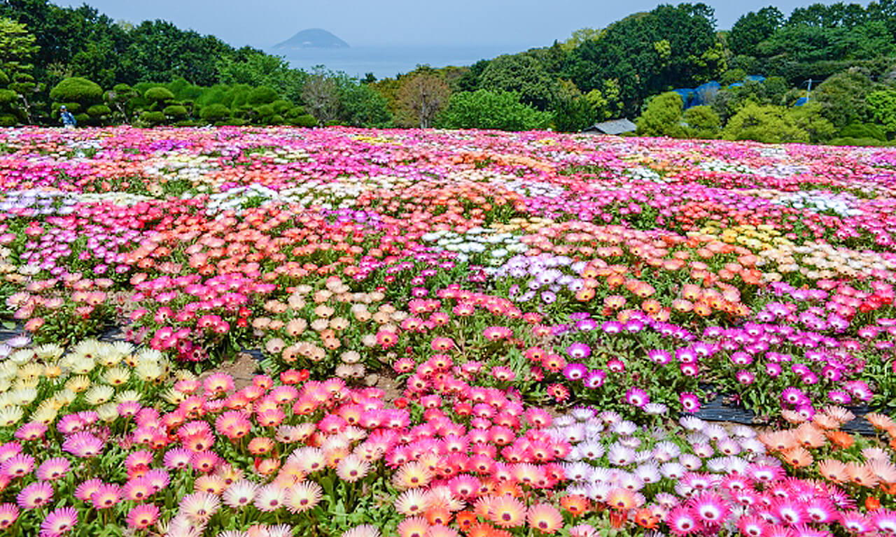 能古島